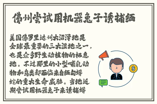 差不多三十分钟轮滑电视剧